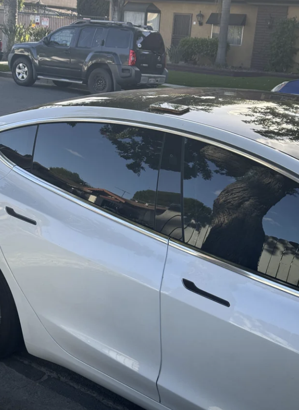 Reflective car windows show sky and part of a tree, with a car and SUV parked in the background