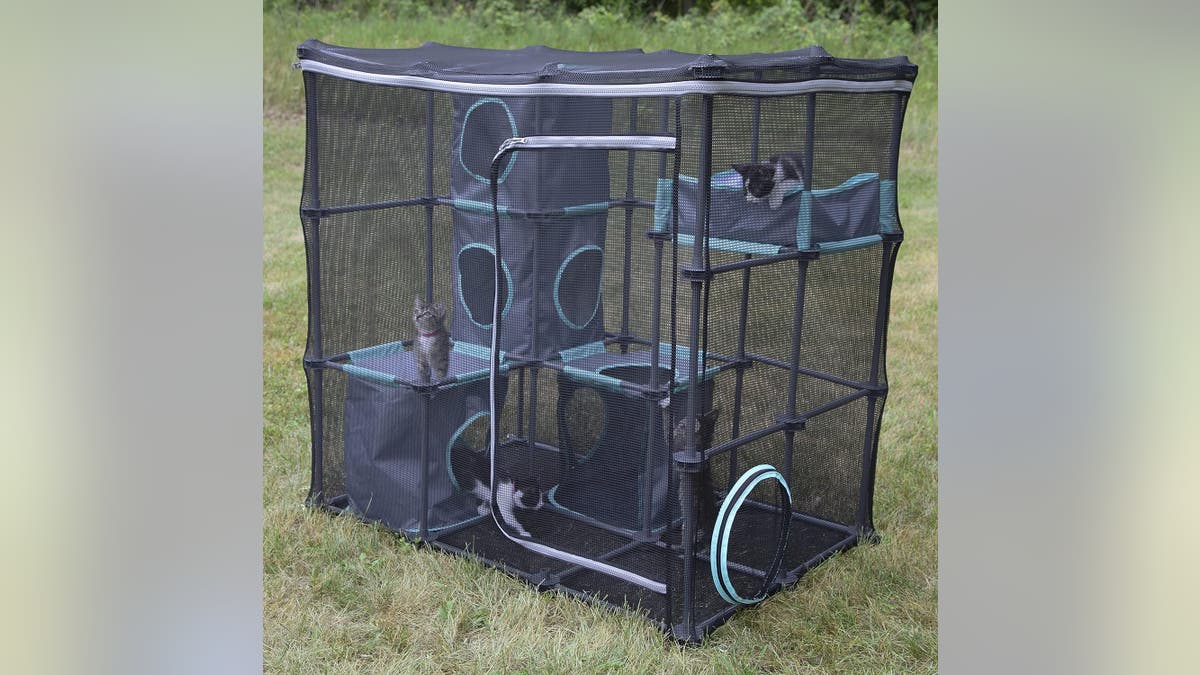 Easily move the catio to wherever you are when you get a mesh, pop-up option.