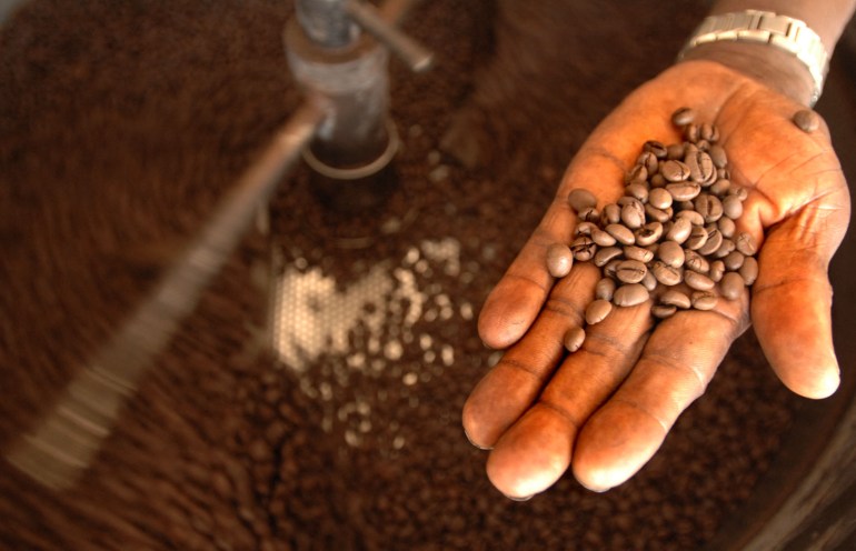 Coffee production DRC