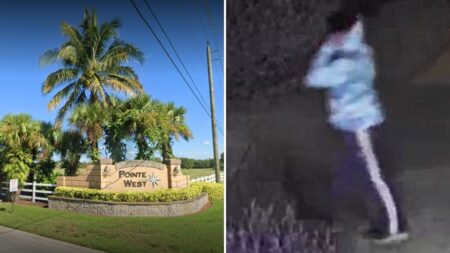 Florida country club neighborhood terrorized by knife-wielding boy targeting adult women for abduction: police