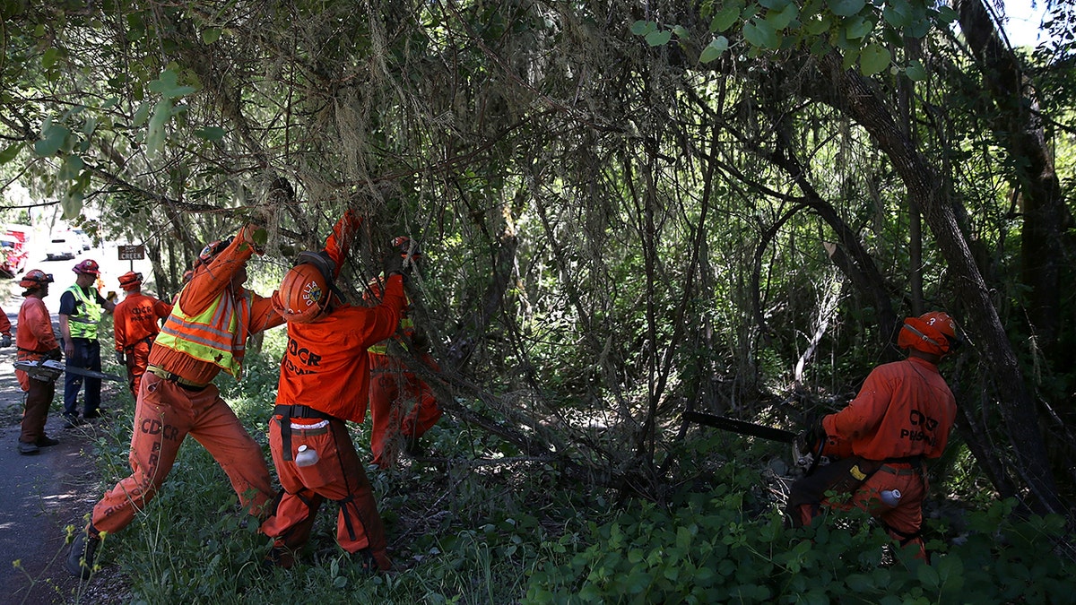 California inmate fire crews