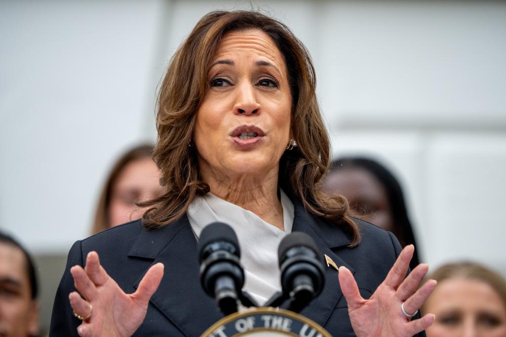 Exclusive | Wall Street billionaires rally around Kamala Harris as Silicon Valley leaders sides with Trump