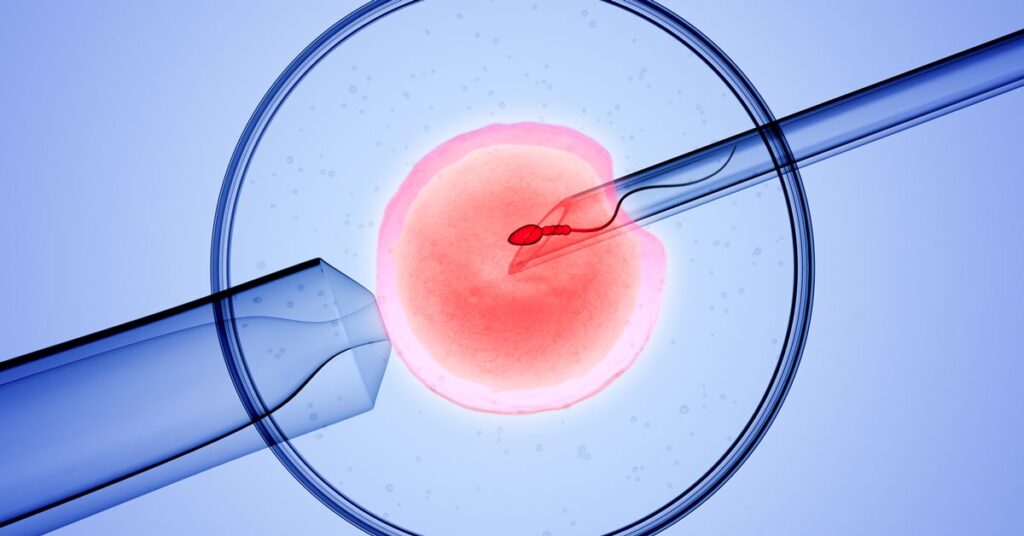 What is the latest in IVF research, and what are the next steps?