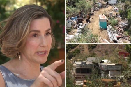 LA family’s dream home becomes nightmare due to neighbors makeshift junkyard: ‘we are trapped here’