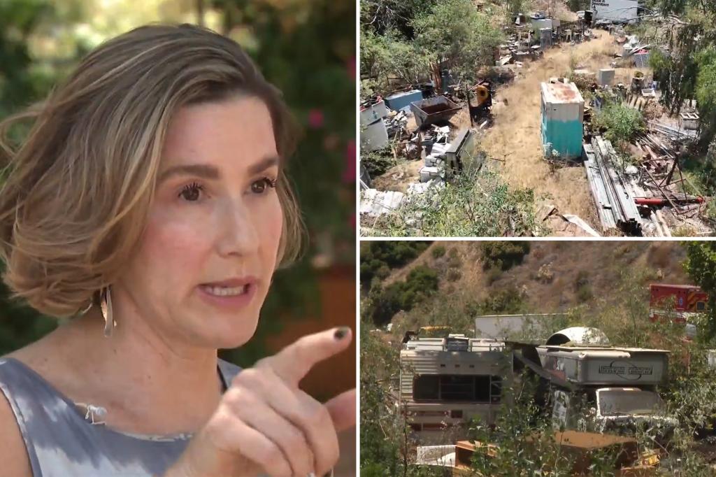 LA family’s dream home becomes nightmare due to neighbors makeshift junkyard: ‘we are trapped here’
