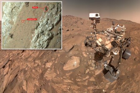 Signs of ancient life on Mars may be hiding in an arrowhead-shaped rock: NASA