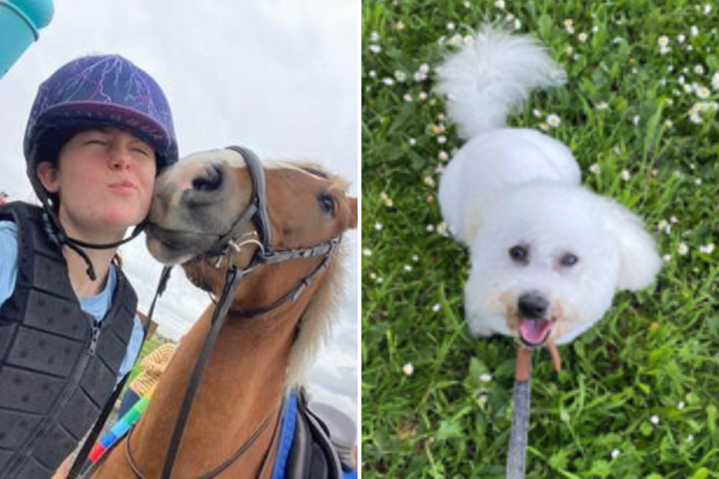 Calling Animal Lovers—Make $900 as a ‘Luxury Cook’ for Dog Named Lord Beef