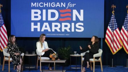 Kamala Harris’ coalition takes shape with ‘new energy’ from fraying Biden alliance