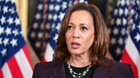 Harris’ team rejects Israeli notion that her comments could harm ceasefire talks