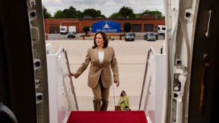Democratic donors express early elation at Harris’ potential ascension