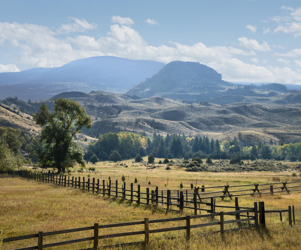 A picturesque landscape with rolling hills and mountains in the background, featuring a wooden fence running through an expansive field and a lone tree to the left