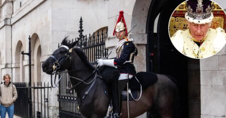 King Charles III’s Guard Horse Bites Tourist Posing for Photo at Household Cavalry Museum in London