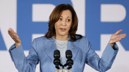 Kamala Harris: Democrats start moving to VP as President Joe Biden digs in