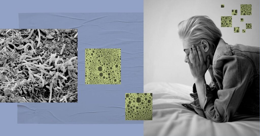 Could a healthy gut microbiome make you more resilient?