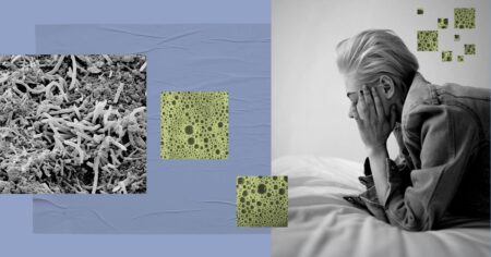 Could a healthy gut microbiome make you more resilient?