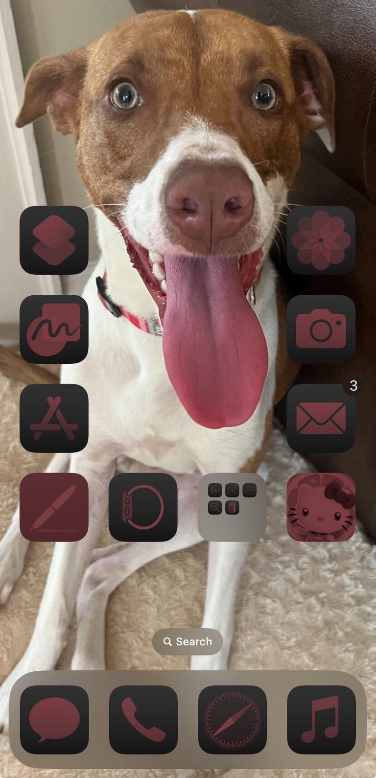 A brown and white dog framed by apps on an iPhone home screen