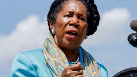 Laura Coates shares her personal admiration for Rep. Jackson Lee