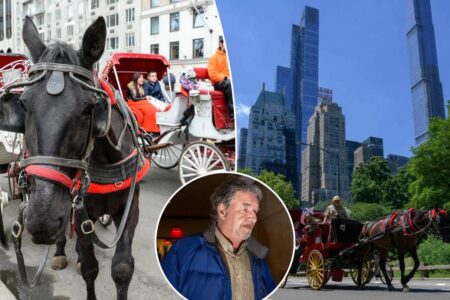 Advocates call for Central Park carriage horse ban ahead of driver’s animal abuse trial
