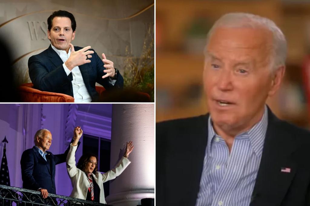 Biden backer Anthony Scaramucci calls it ‘political malpractice’ to suggest the president can serve another term