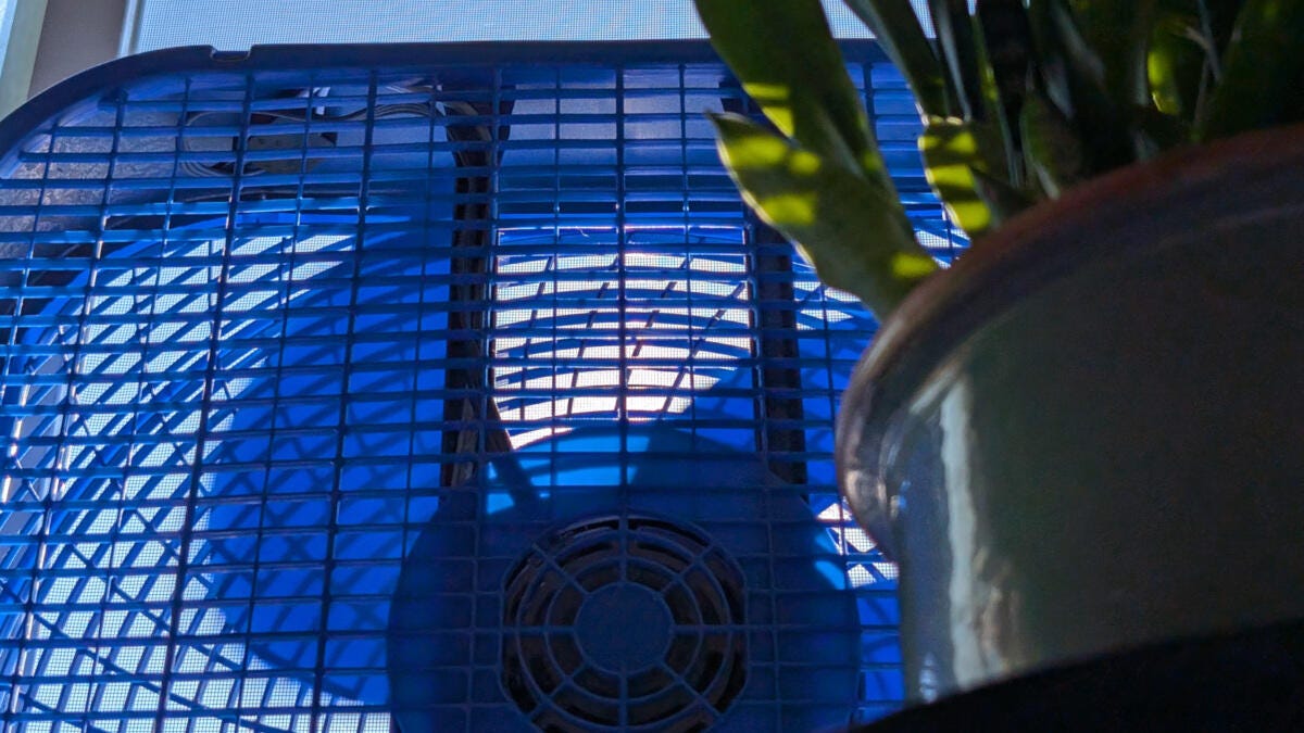 office window fan with plant in foreground