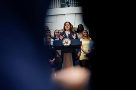 Coronation or open convention?Democrats have days to decide on electing Kamala Harris via virtual roll call
