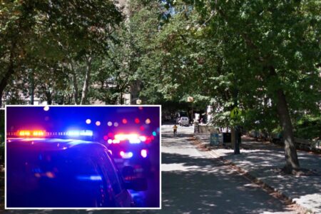 Man, 42, slashed multiple times in Central Park after getting into argument: cops