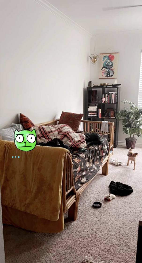 A small, tidy room with a bed partially covered with a flower-patterned blanket. A small dog stands on the carpet. A shelf with books and decor is in the background