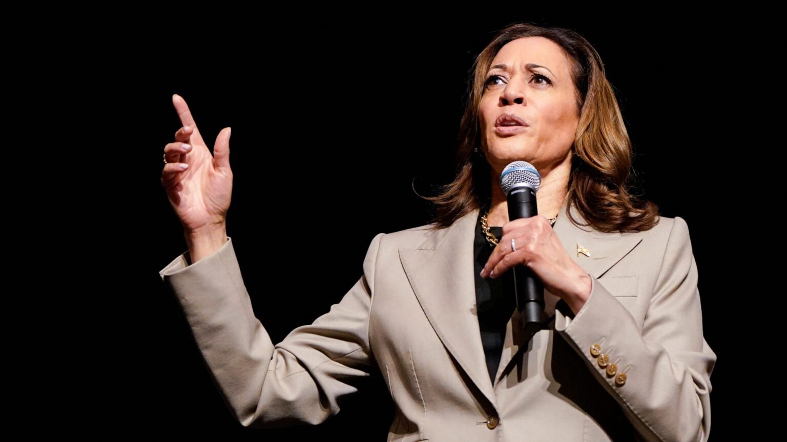 Harris calls for expanded child tax credit of up to $6,000 for families with newborns