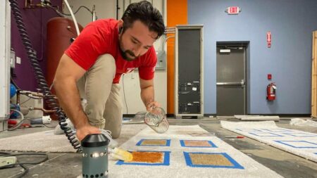 Best Carpet Cleaners for 2024