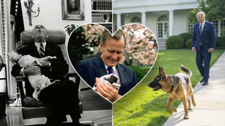Dogs in the White House: JD Vance’s German shepherd could continue beloved trend