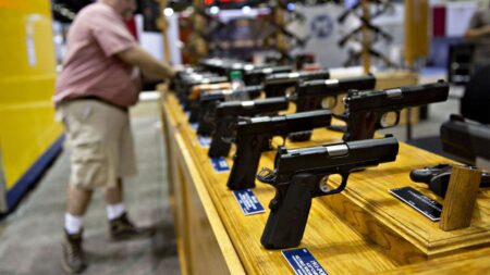 Illegal migrants do not have gun rights protected by 2nd Amendment: federal appeals court
