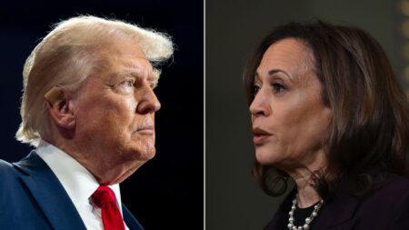 Video: Ex-Trump White House official: It would be a disaster for Trump if he doesn’t debate Harris