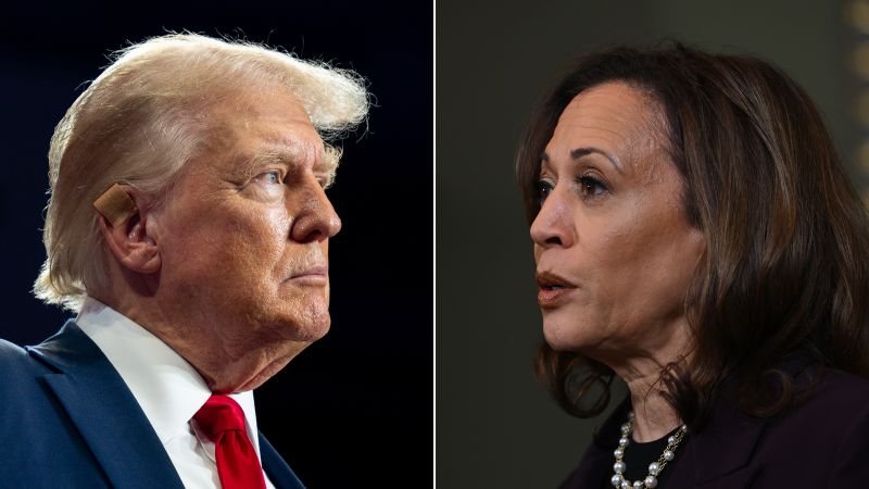 Video: Ex-Trump White House official: It would be a disaster for Trump if he doesn’t debate Harris