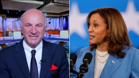 Video: ‘Shark Tank’ investor slams Harris’ proposed economic policy as ‘really bad idea’