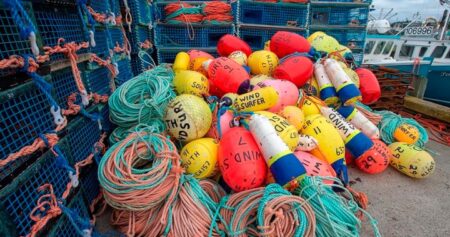 Nova Scotia minister says ‘organized crime’ involved in lobster fishery