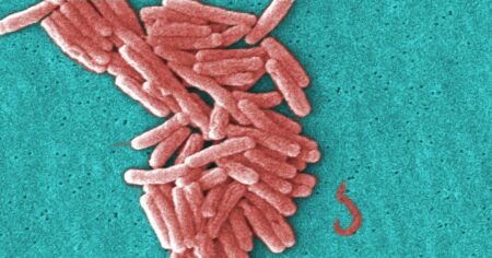 5 people diagnosed with Legionnaires’ disease in New Hampshire after possible exposure from cooling tower