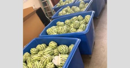$5 million worth of meth disguised as watermelons found at California customs checkpoint