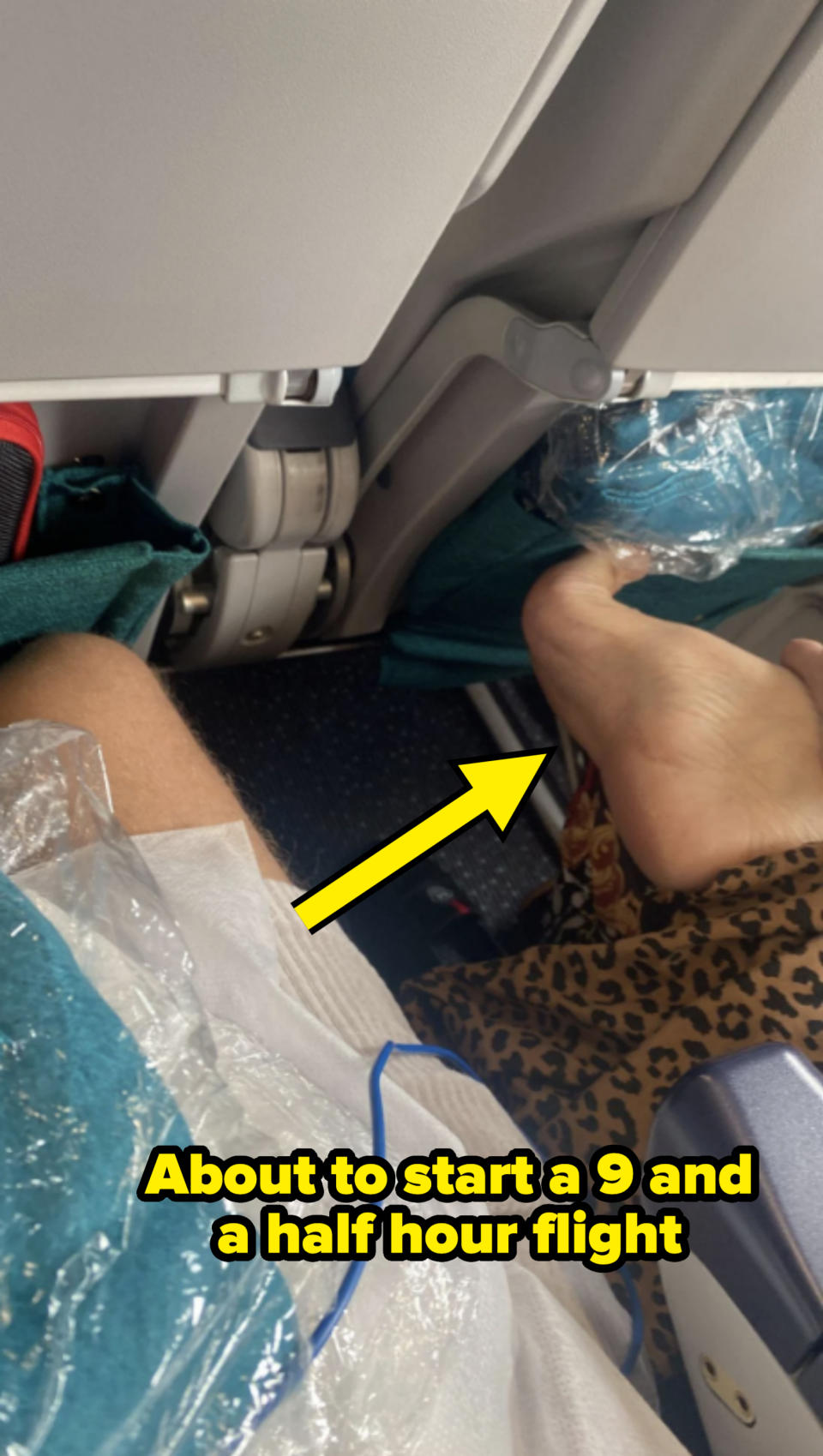 Two airline passengers are seated. One wears leopard-print pants, with their bare feet resting on the armrest of the seat in front. The other person has covered legs