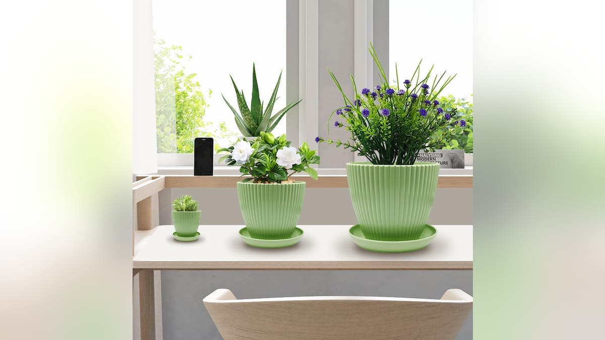 Grab a set of pots for all different sized plants.