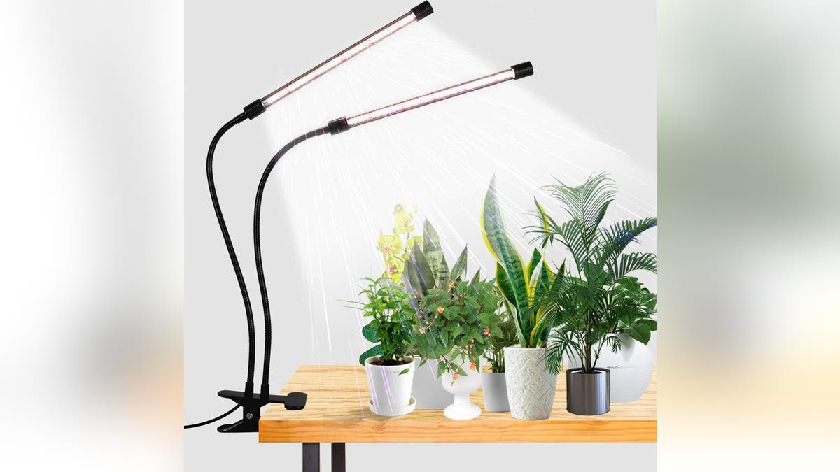 Move your grow lights wherever they need to be.