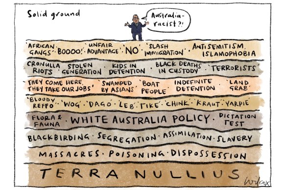 Herald cartoonist Cathy Wilcox’s Solid Ground cartoon.