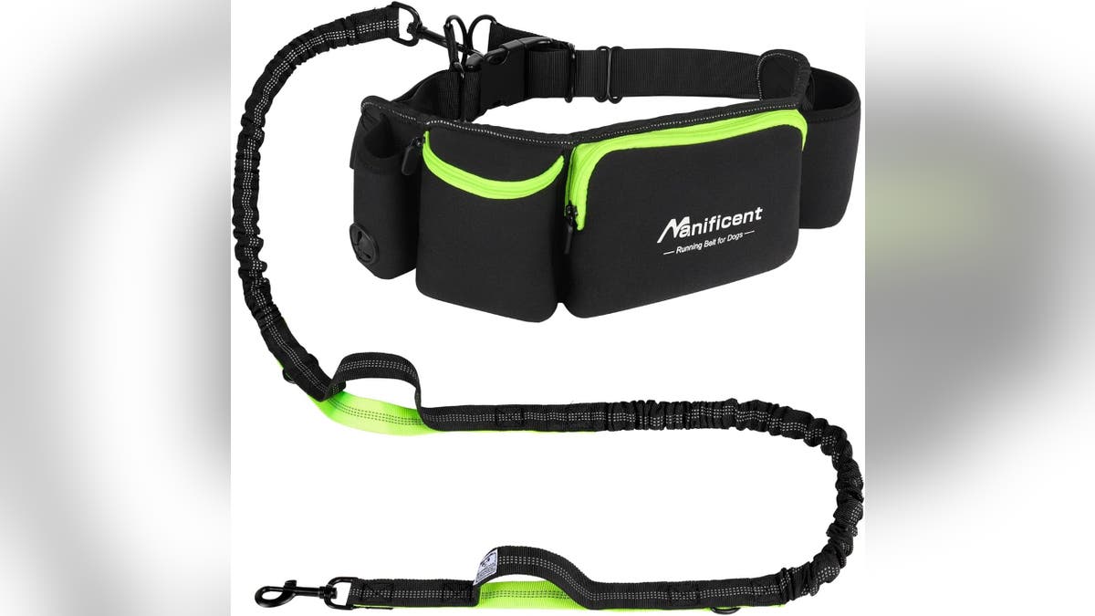 Bring your dog for a hike, hands-free.