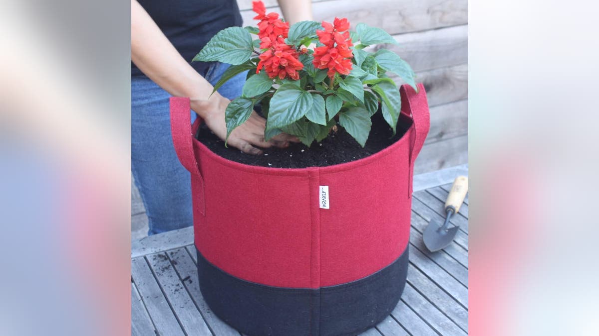 Grow bags are affordable alternatives to plastic pots.