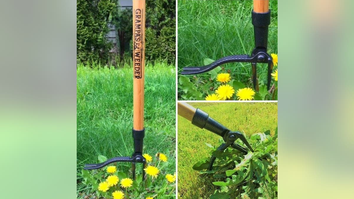 Uproot pesky weeds that keep coming back.