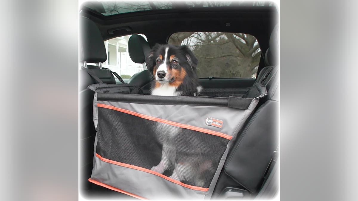 Small dogs will have plenty of room in this car seat.