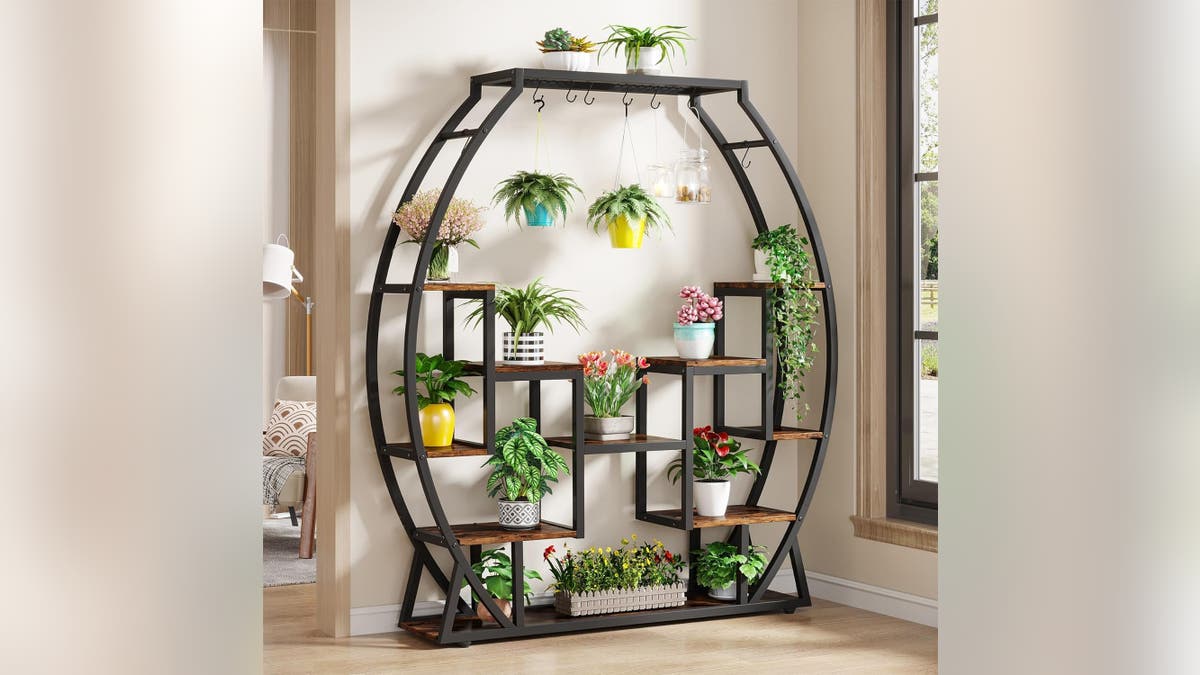 Plant stands provide all the room you need for your many plants.