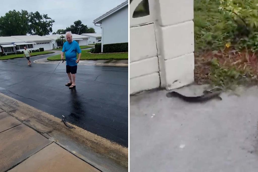 Catfish spotted swimming on flooded streets in Florida during Hurricane Debby