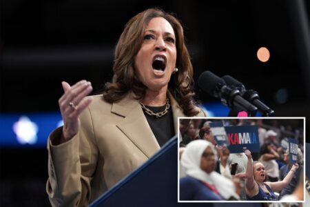 Kamala Harris to anti-Israel protesters heckling her at Arizona rally: ‘I respect your voices’