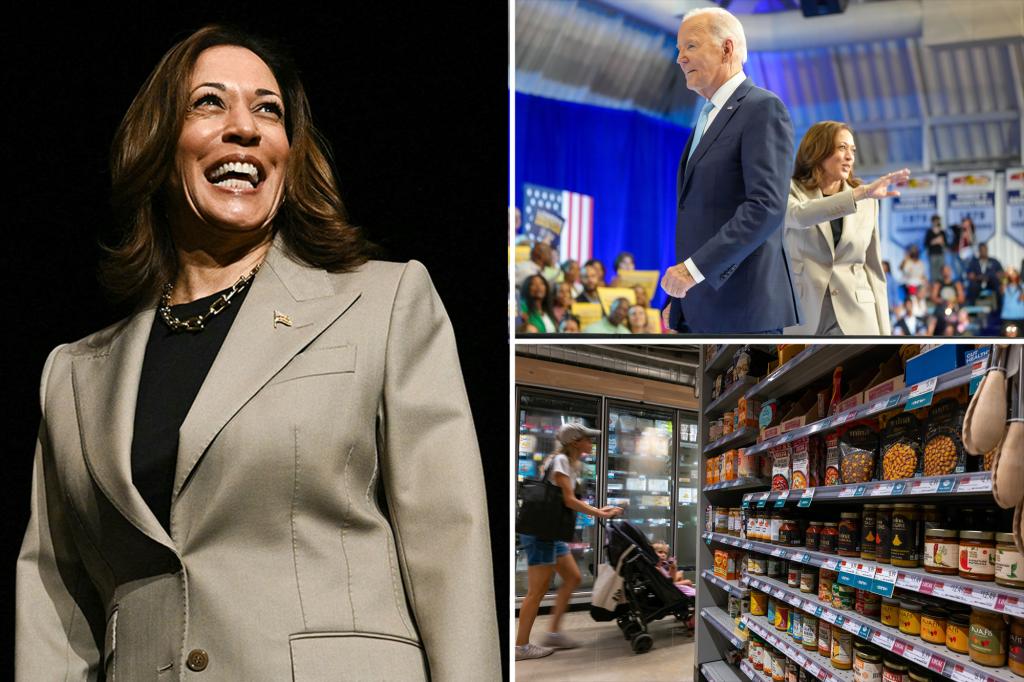 Kamala Harris’ plan to lower food prices ripped to shreds by Republicans, economists: ‘Economic lunacy’