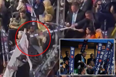 Anti-Israel protestor smacked with ‘We Love Joe’ sign after unfurling banner during Biden’s DNC speech